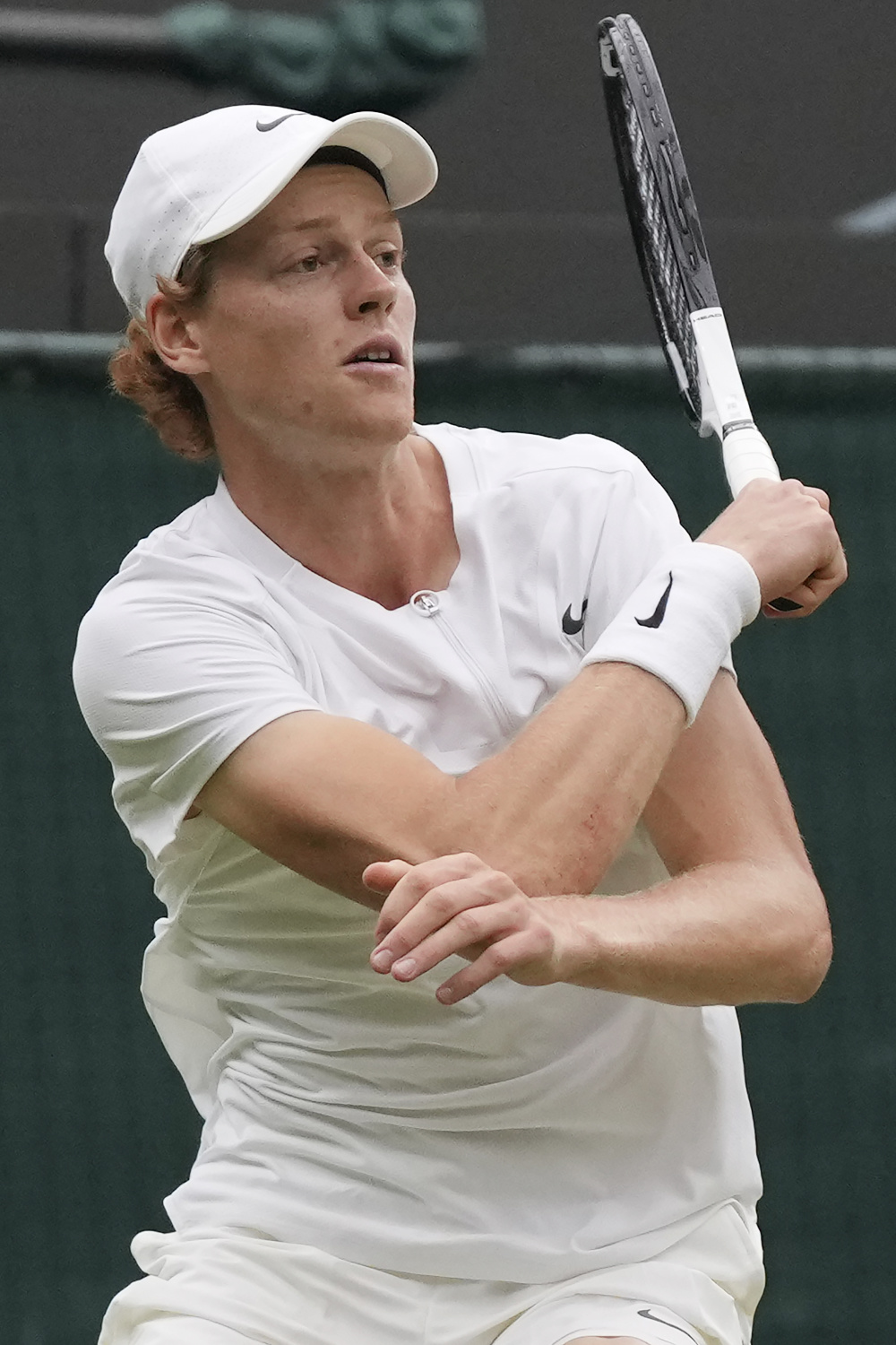 布朗的膝盖 布朗的膝盖